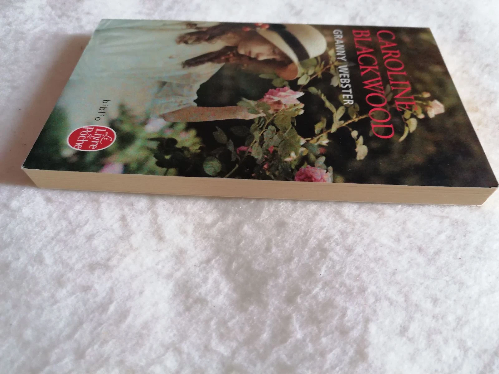 Livro Granny Webster – photo 4